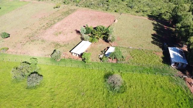Chácara 28 Hectares com córrego, em Jaraguari-MS! - Foto 5