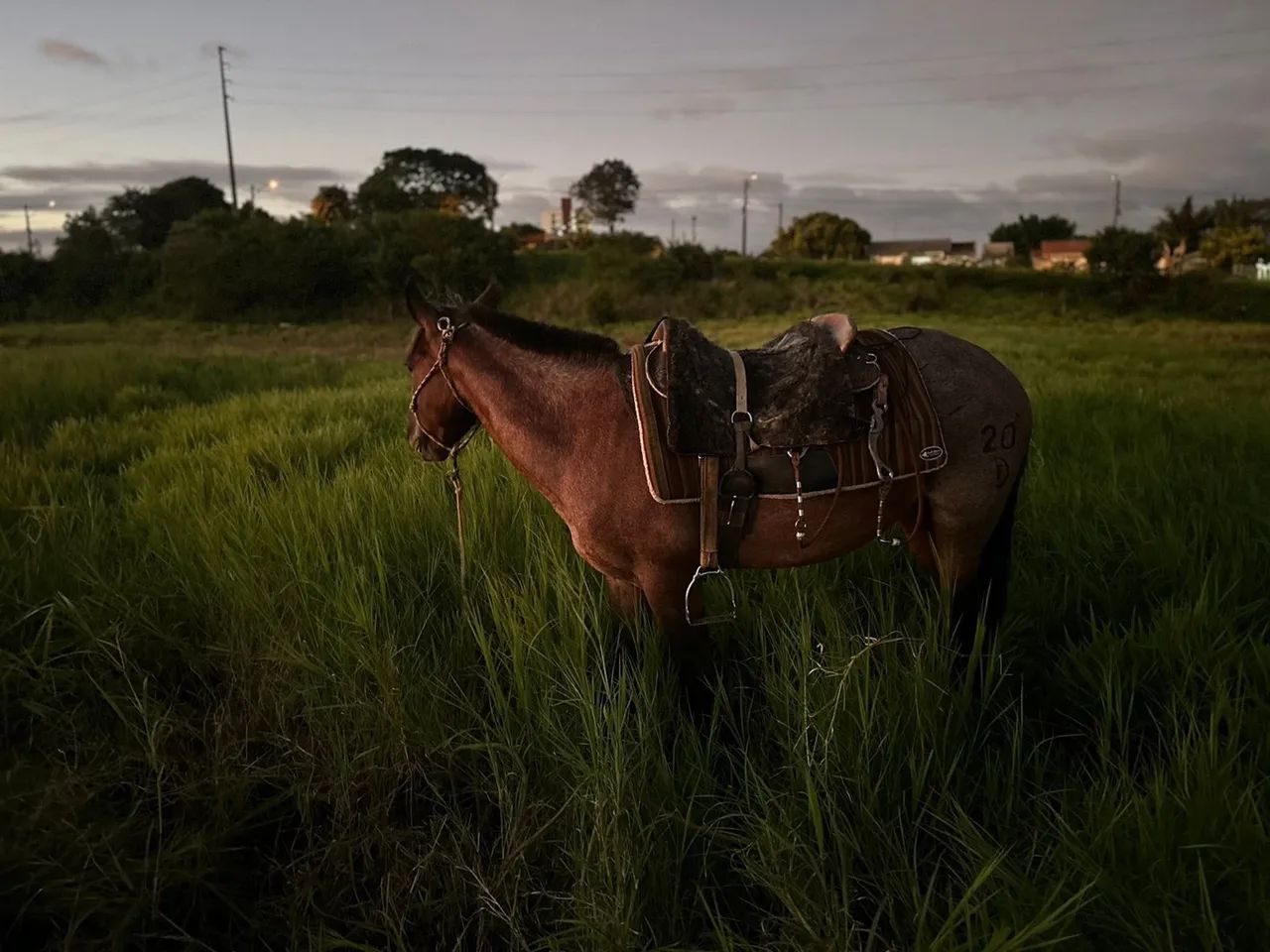 Rosilha Moura, top, documentada! - Foto 3