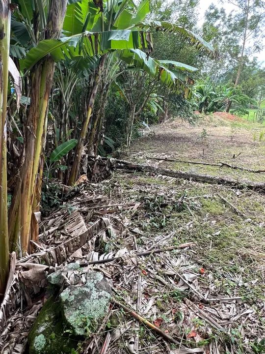 Terreno com área verde em ótima localização. Vila da grama - Trajano de Moraes - Foto 5