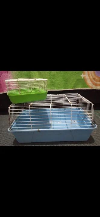 Gaiola para Roedores Grande - Usada