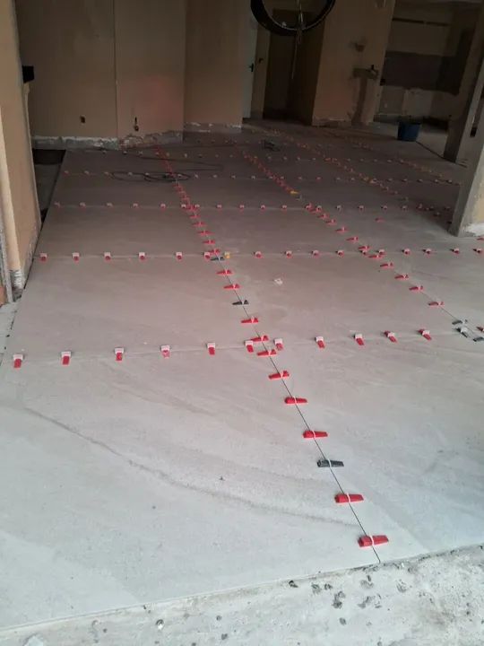 Azulejista  - Foto 4