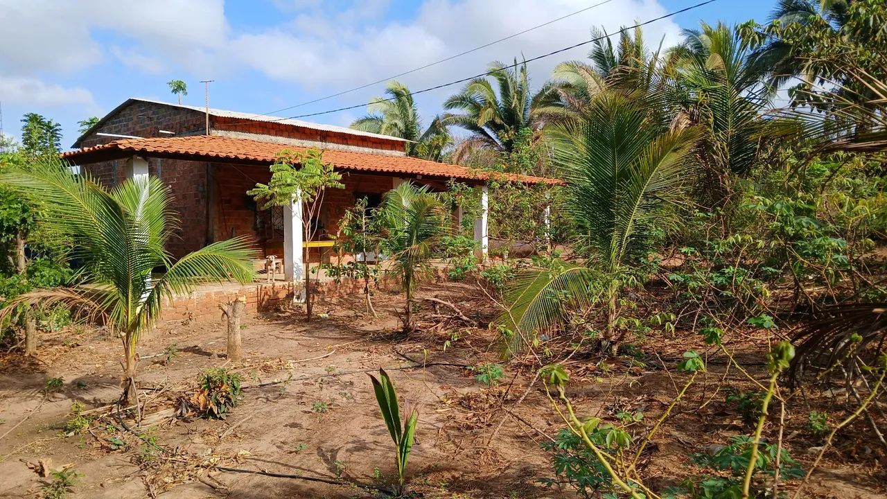 Vende-se chácara 150,000 - Foto 6