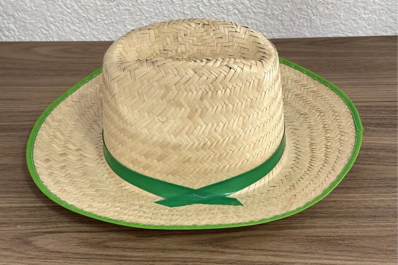 Chapeu de palha cauboy 1 capa
