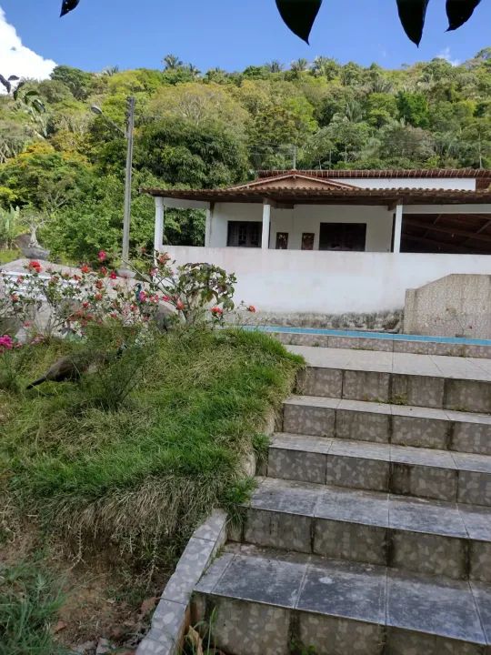 Fazenda em São Luiz, 160 hectares a 30 mil o hectar - Foto 5