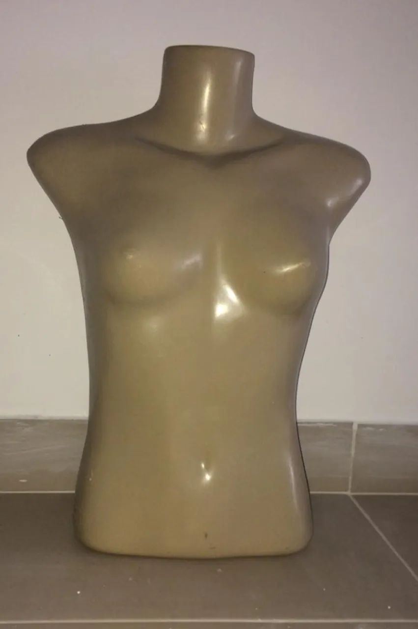 Maniquim - Foto 2