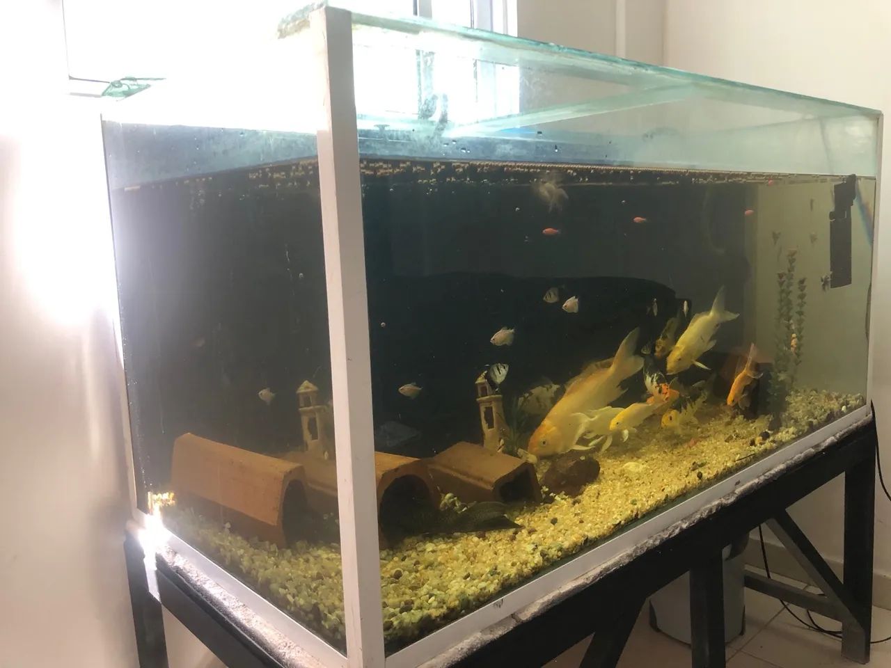 Aquário de 576 litros completo  - Foto 2