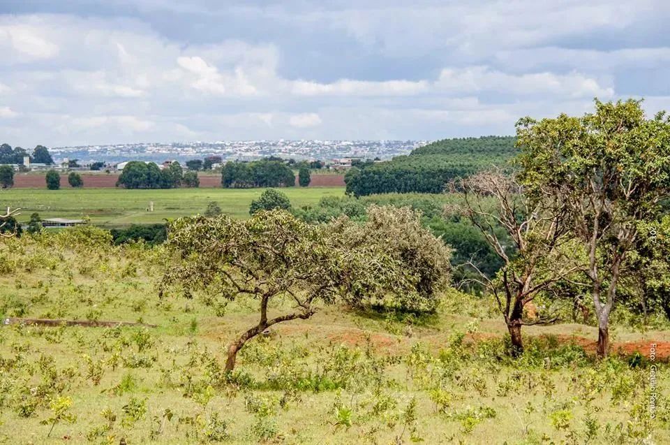 Sítio em Brazlandia -DF, 48ha, escriturado - Foto 11