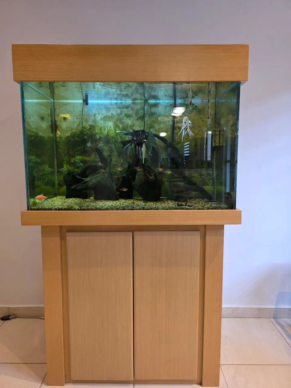 Aquario 270 litros com móvel e iluminação - Foto 4