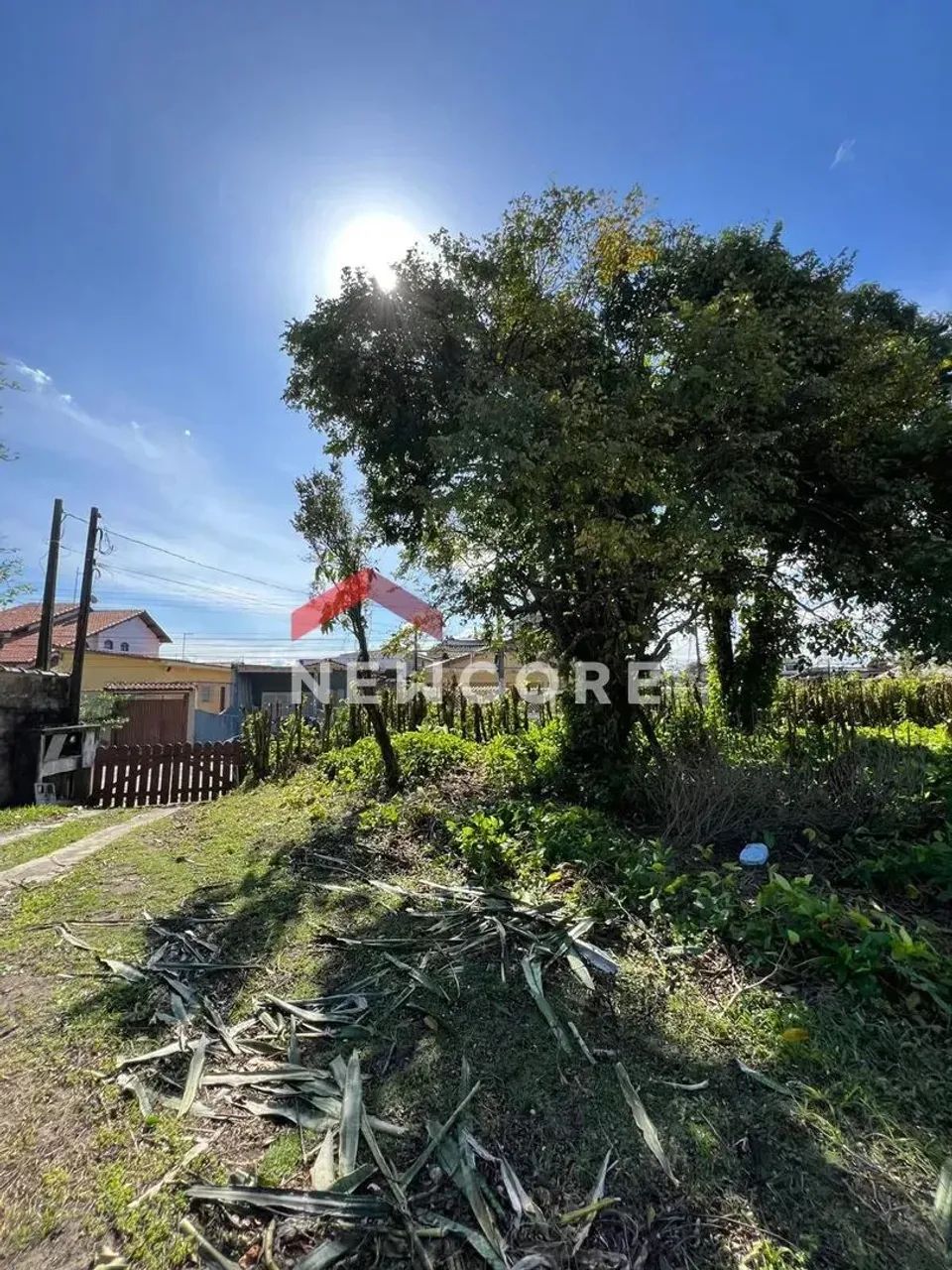 Lote em Avenida 24 de Dezembro - Centro - Peruíbe/SP - Foto 5