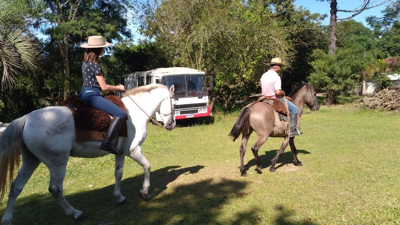 Cavalos crioulos  - Foto 3