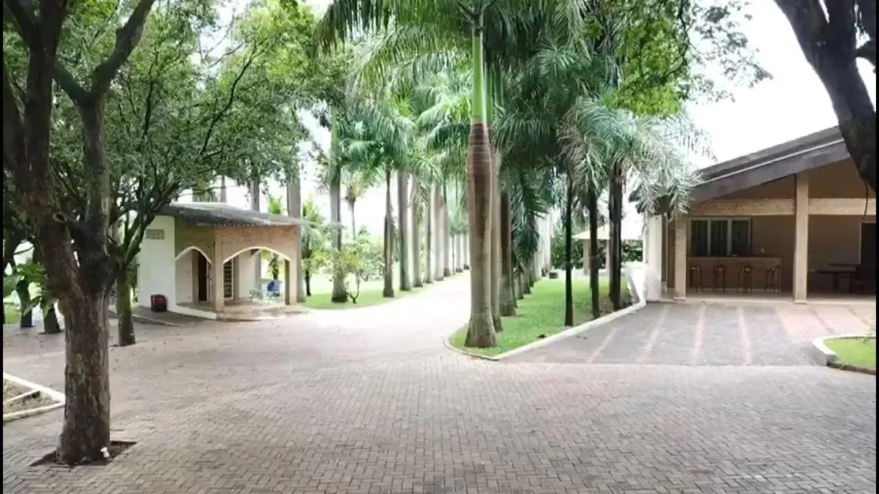 Sitio em Nipoã/SP. Com 5 Alqueires.