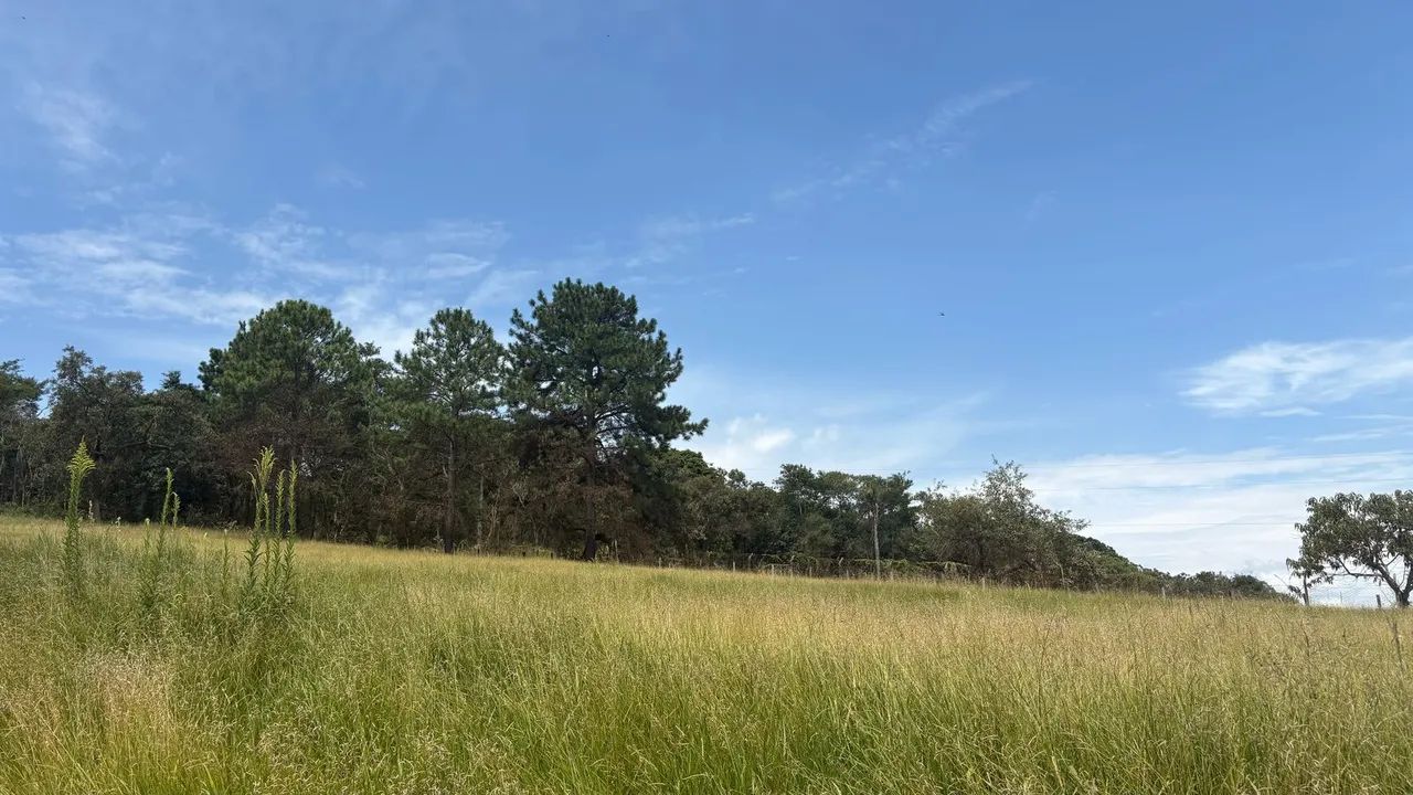Terreno com 500 metros quadrados em Rio de Una - Ibiúna - SP - Foto 4