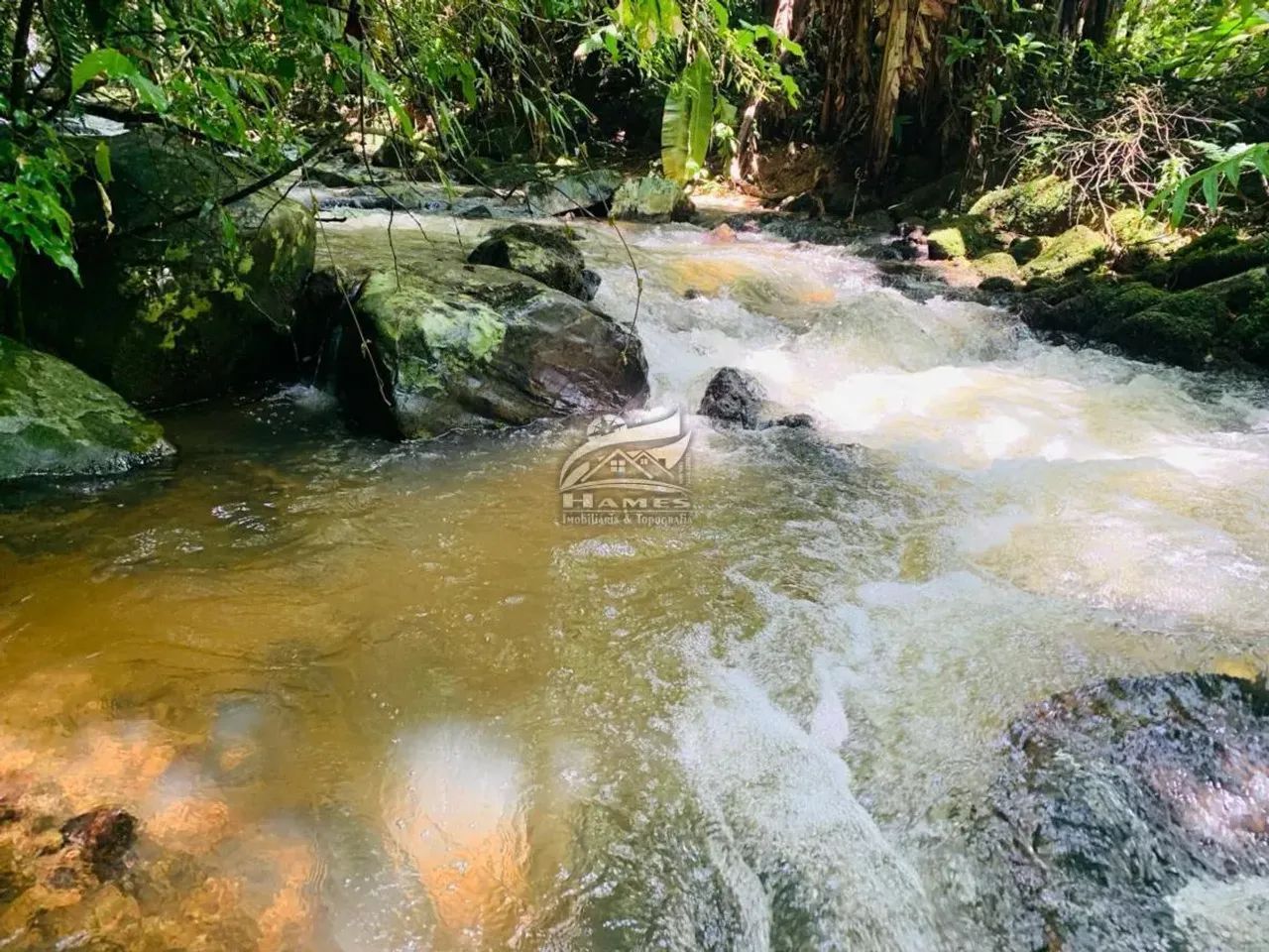 Terreno Rural para Venda em Angelina, PALHOCINHA - Foto 2