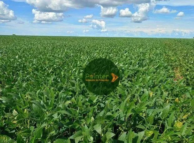 Fazenda à venda, 20000 m² por R$ 85.000.000,00 - Zona Rural - Água Boa/MT - Foto 4