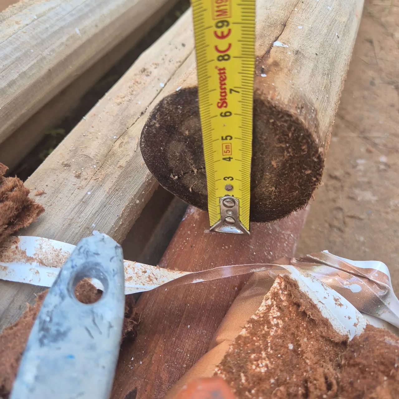 Treated and sanded eucalyptus.64728760641282124