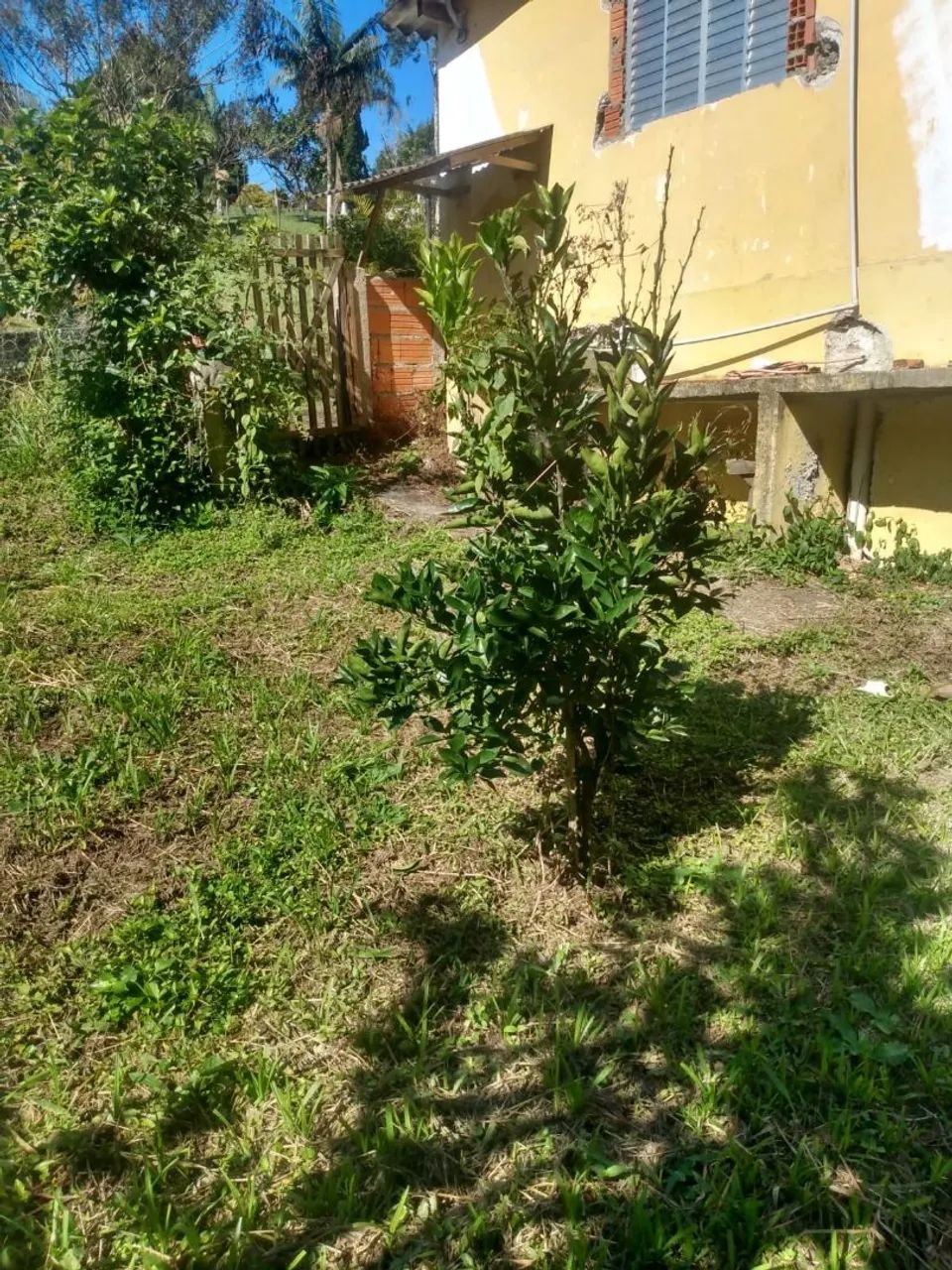 Vendo  chácara em Juquitiba São Paulo  - Foto 13