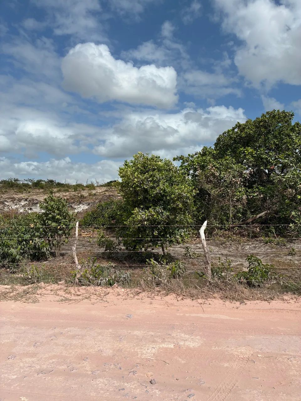 Foto - Santa Inês - 