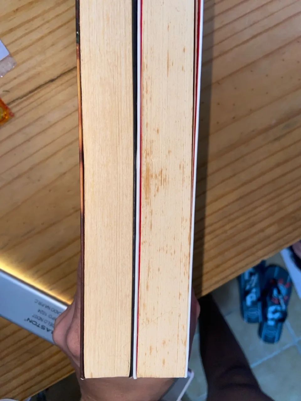 ?Você? + ?Corpos Ocultos? - Caroline Kepnes - Foto 2