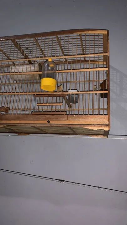 Gaiola para pássaros - Foto 4