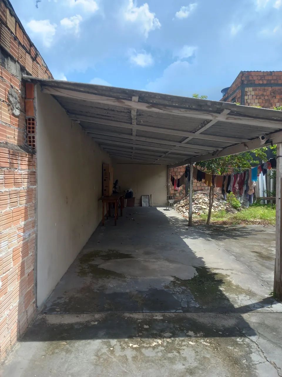 Foto - Manaus - Coroado