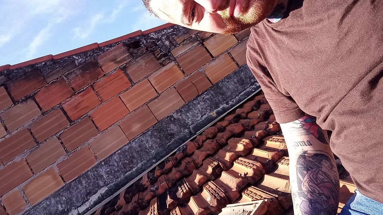 Marido de aluguel  - Foto 5