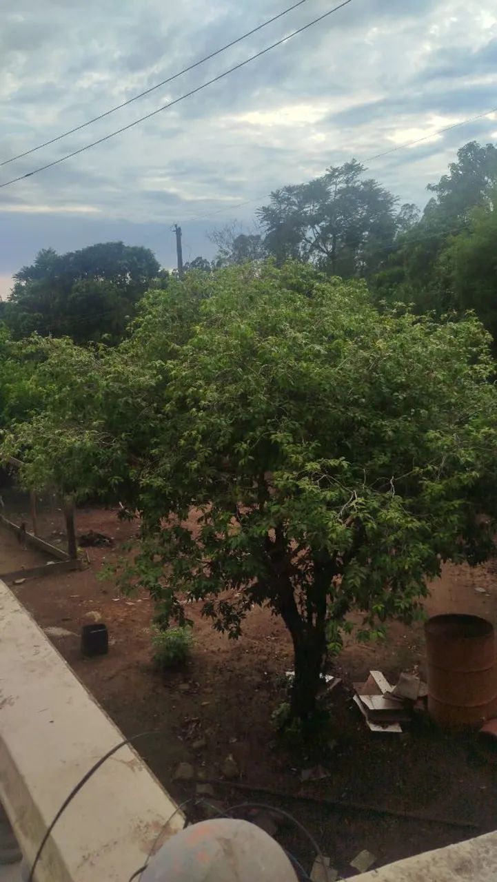 Casa com piscina  - Foto 2