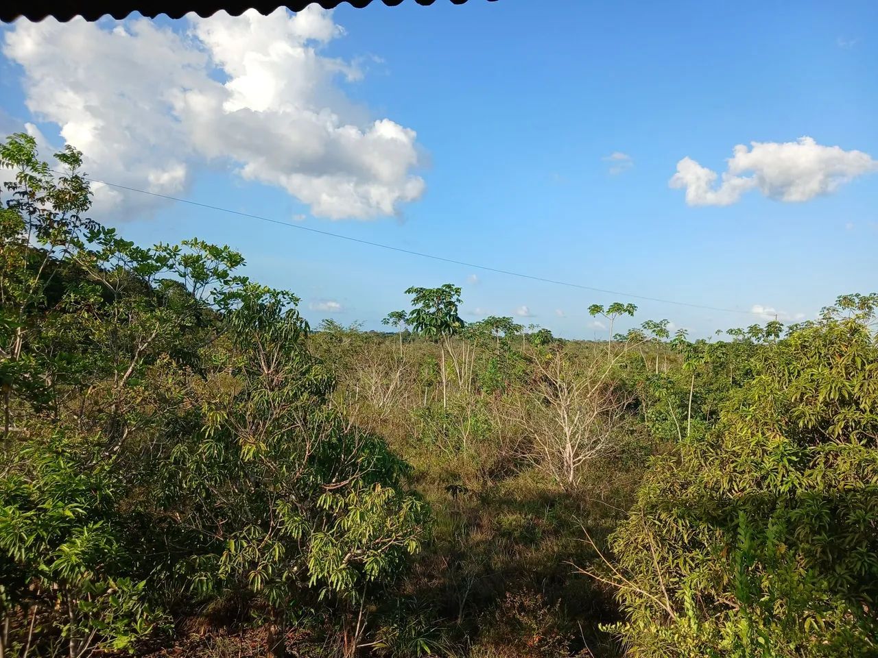 Sitio à Venda - Foto 3