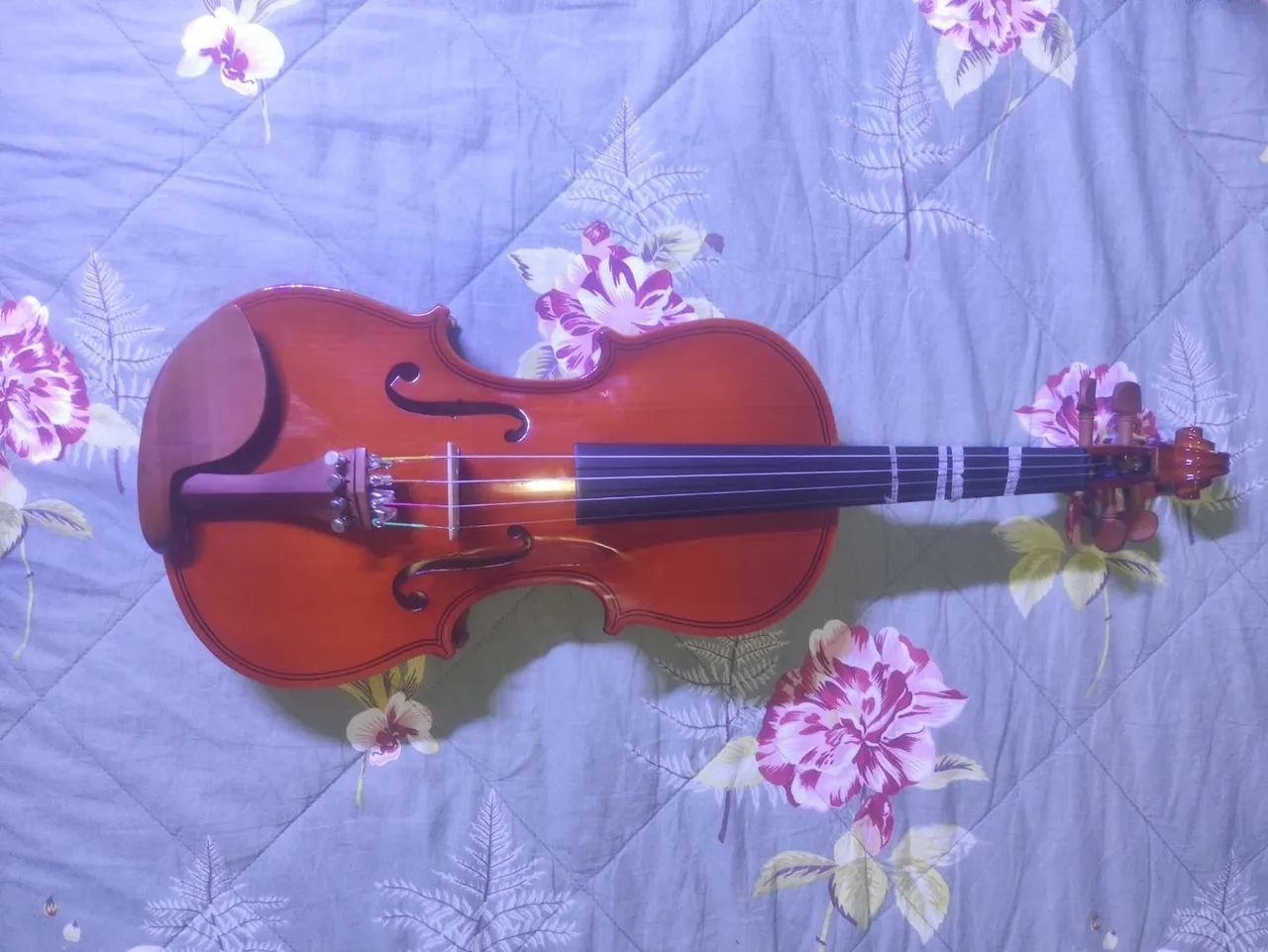 Violino Hofma HVE231