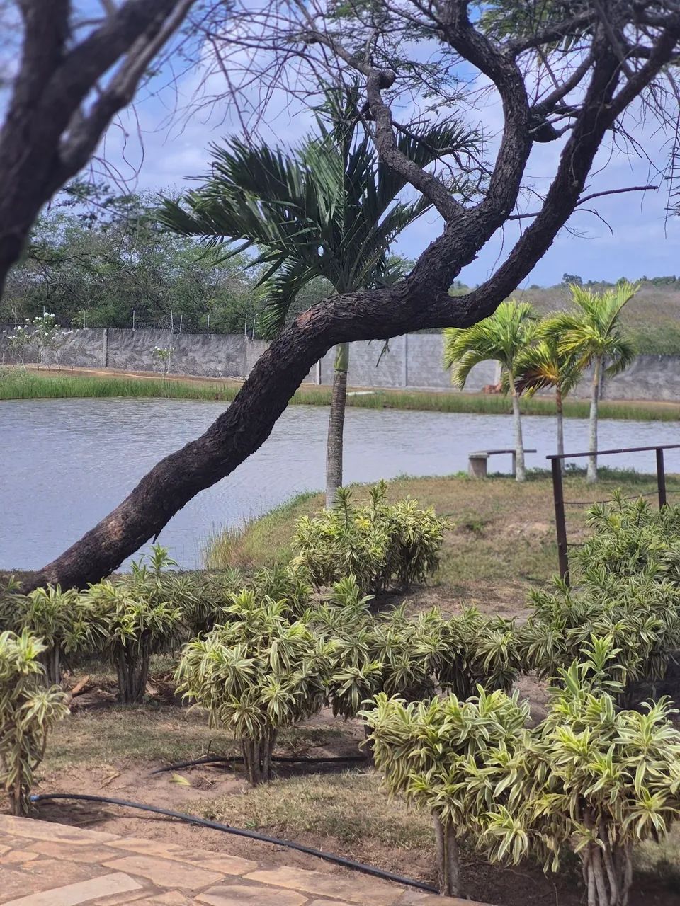 Foto - Macaíba - Zona de Expansão Urbana Oeste