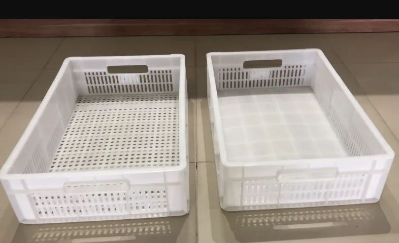 Caixas plásticas para Congelamento de alimentos
