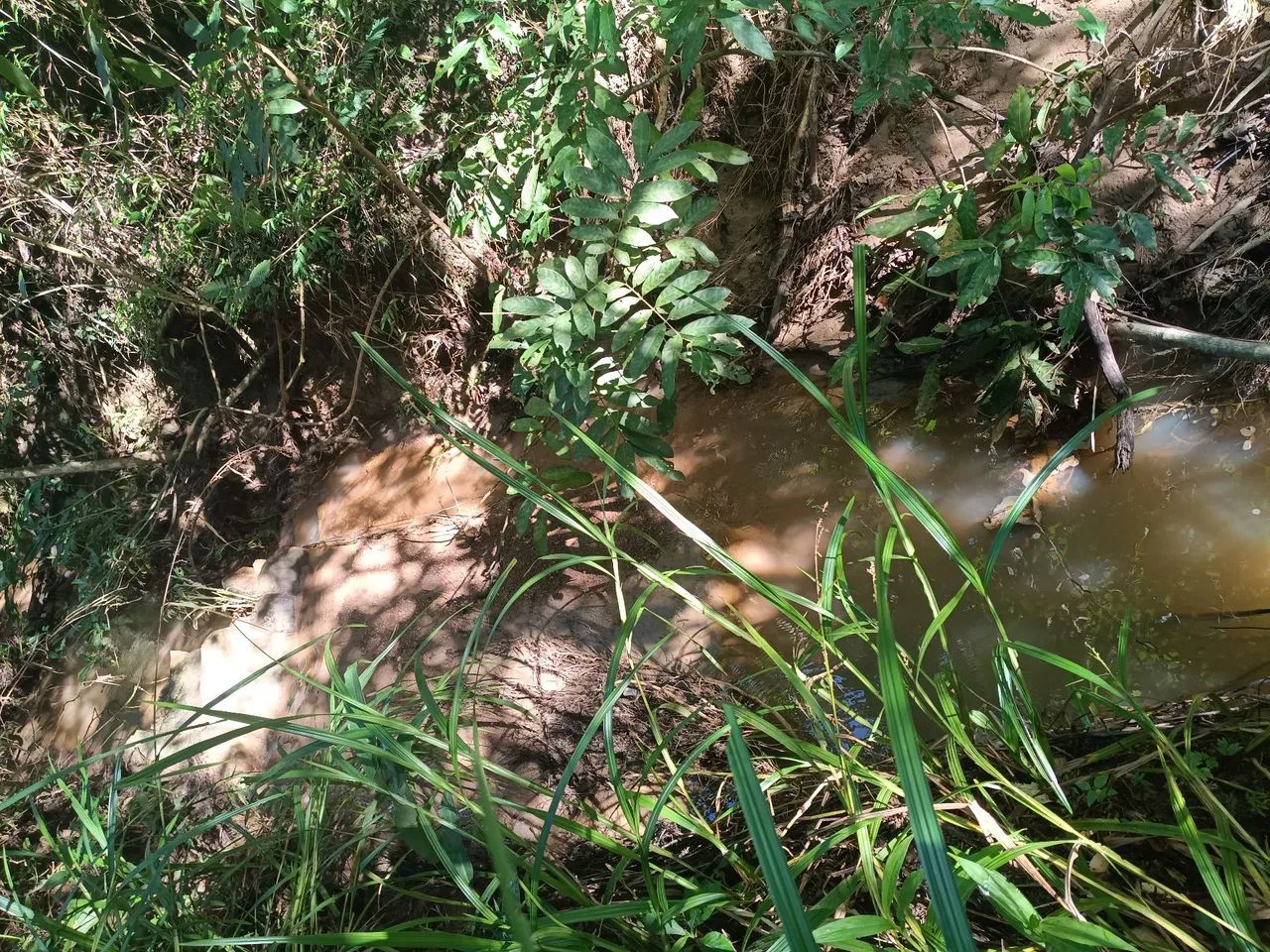 chácara 50 km Goiânia com córrego  - Foto 2