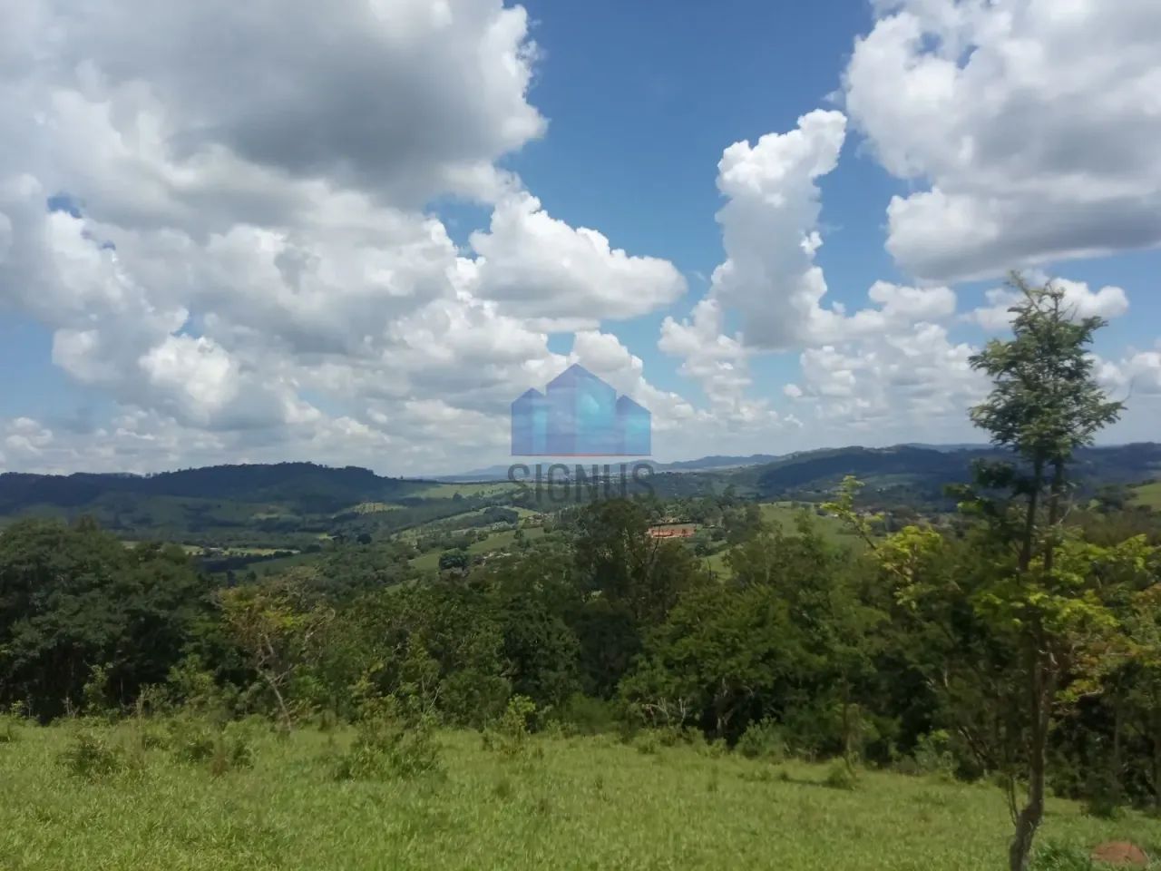 Lindo Sitio de 55000m2 Divisa Pedra Bela e Pinhalzinho - Foto 3