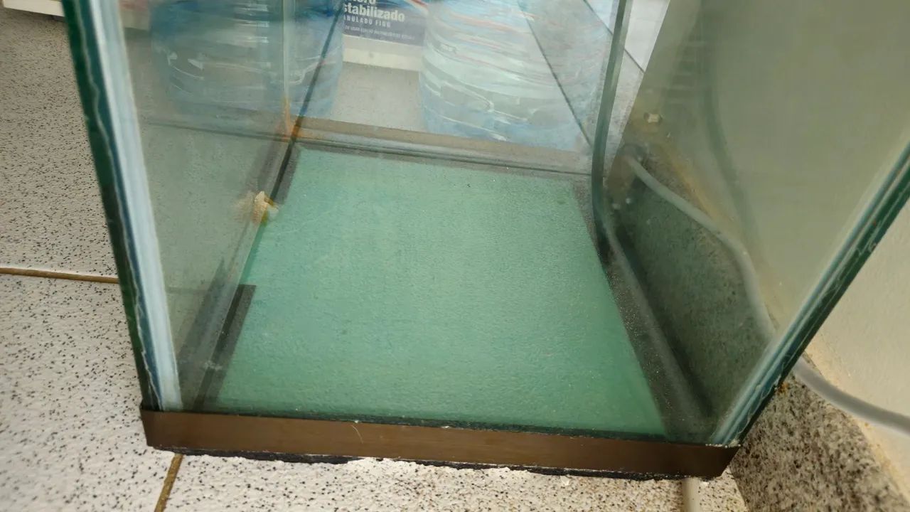 Aquario  - Foto 3