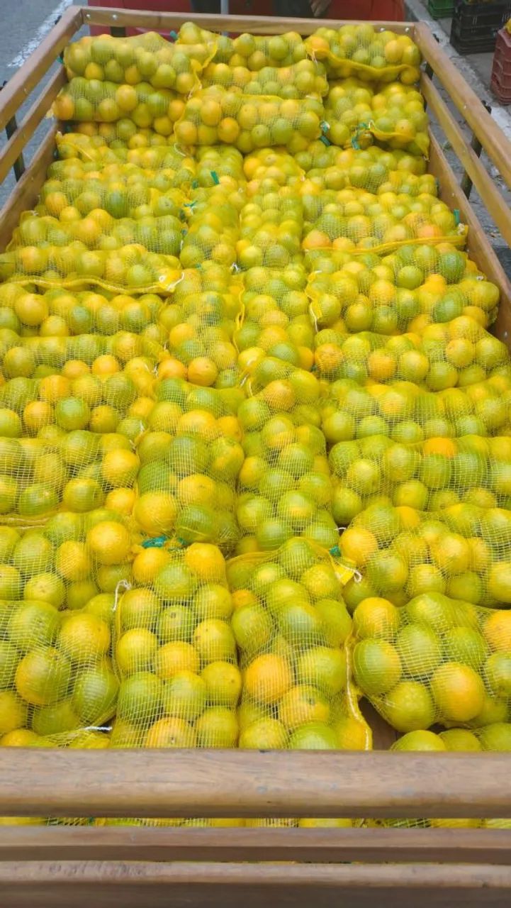 Laranja  - Foto 4