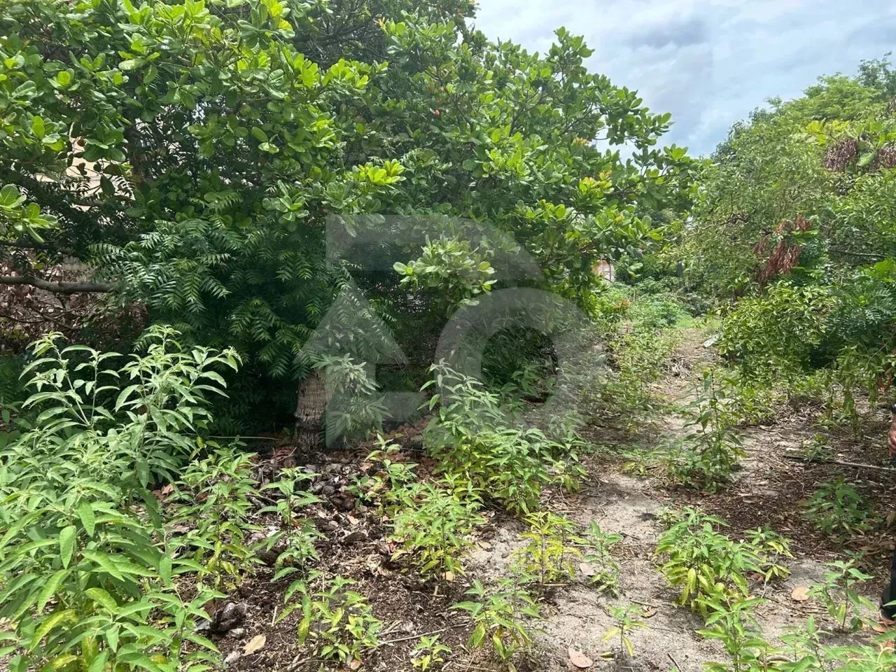 Terreno Amplo na Farolândia à Venda com 1.940 m² Próximo à UNIT