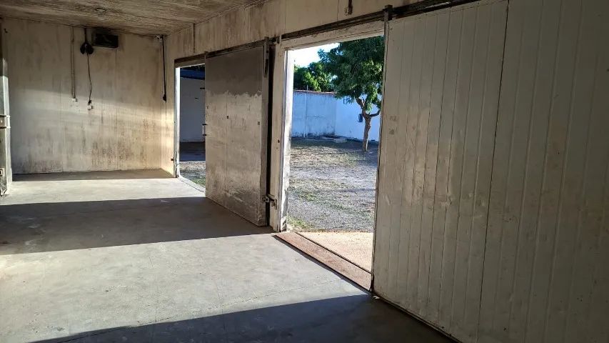 Camara Frigorifica - Foto 3