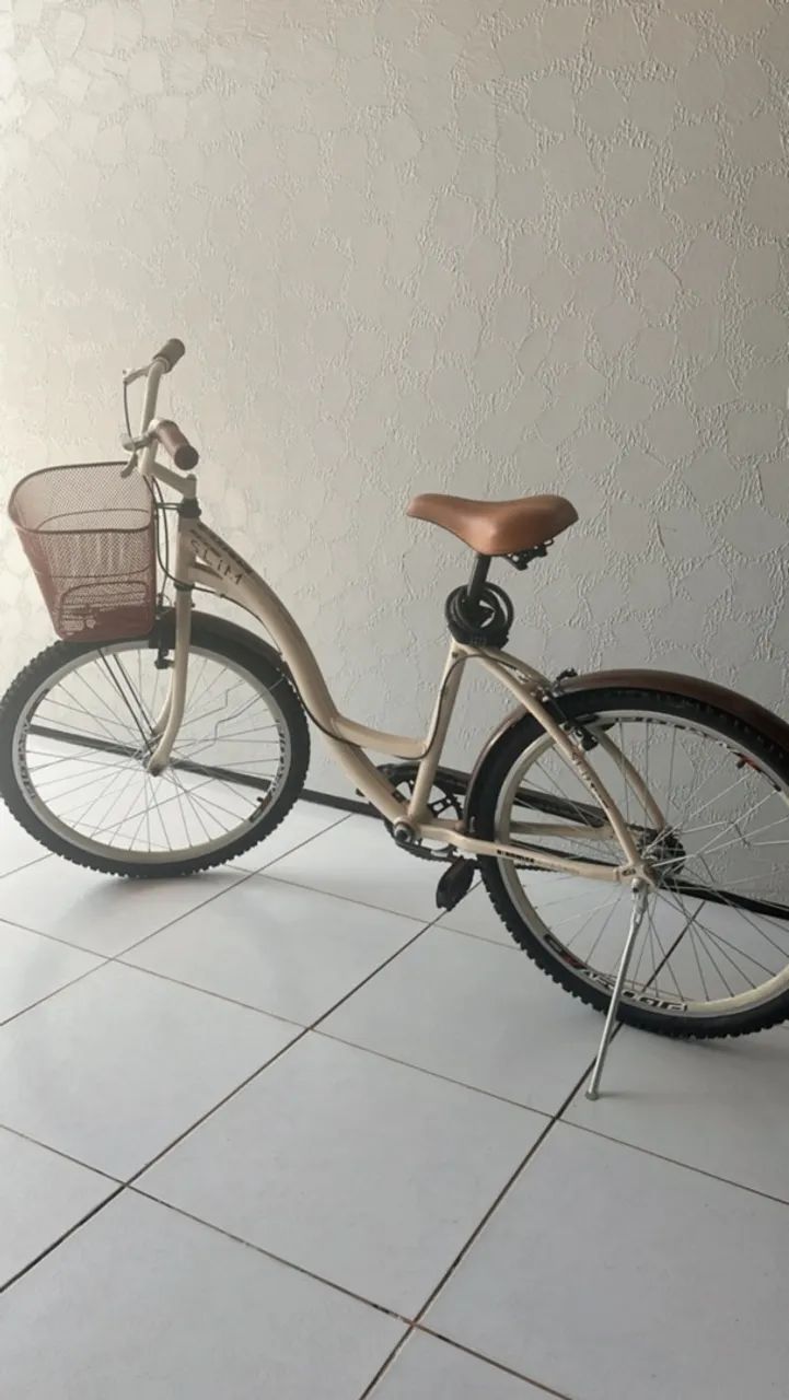 Bicicleta Retrô 