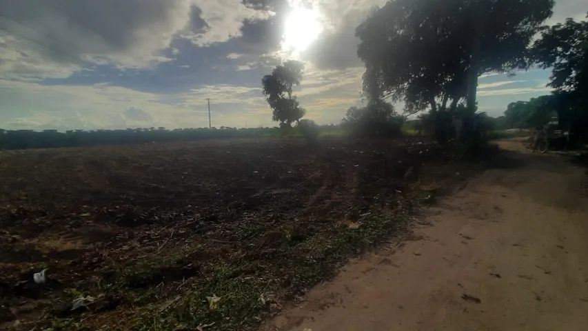 Vendo Lote em Baixo Quartel Linhares ES - Foto 5