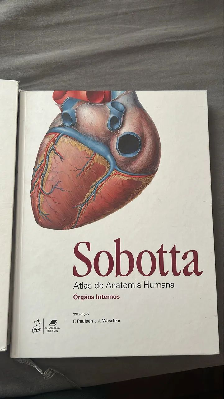 Sobotta - Foto 4