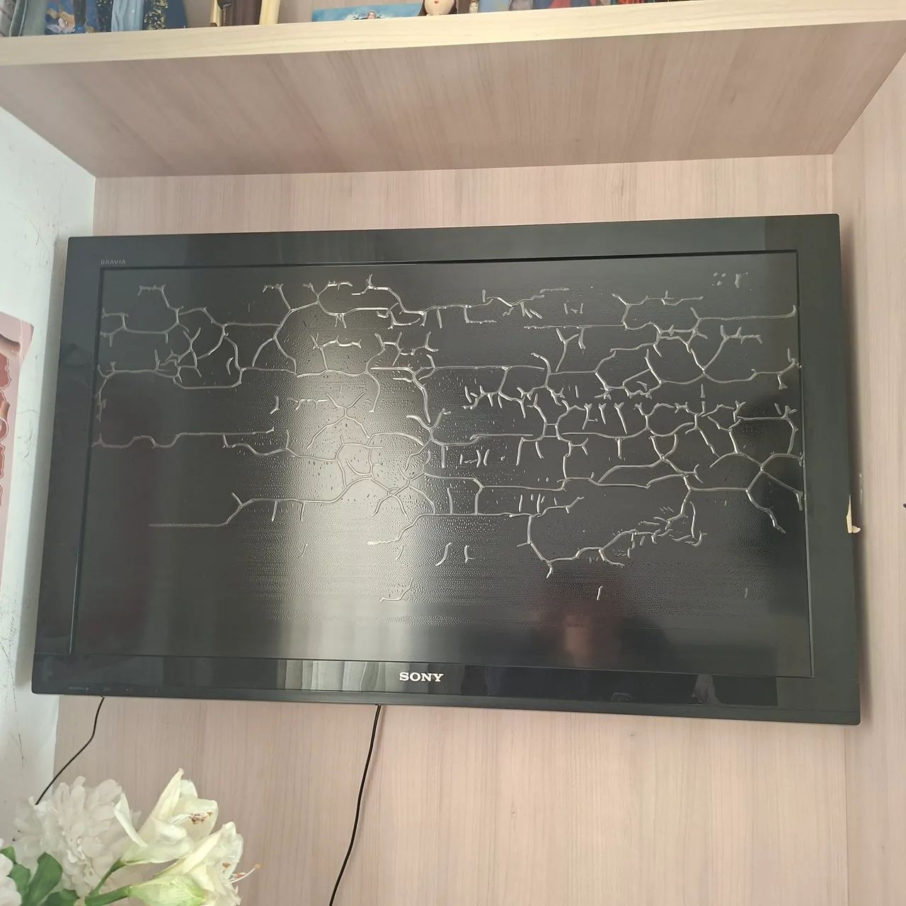 Tv Sony Bravia (Bolhas na tela)