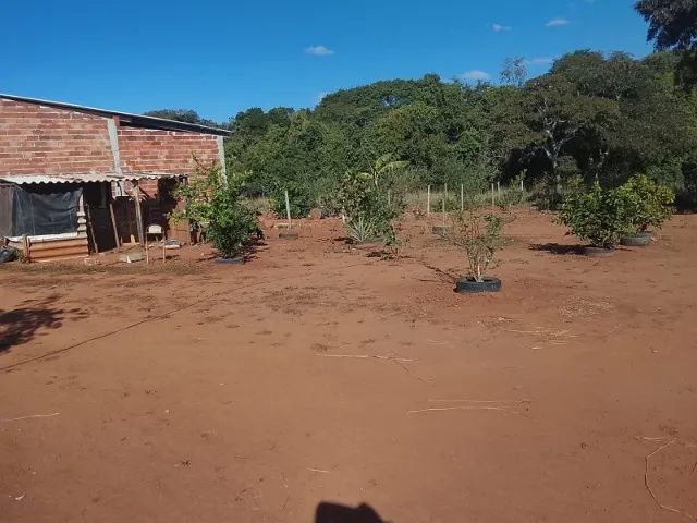 Vendo ou troco chácara   - Foto 2