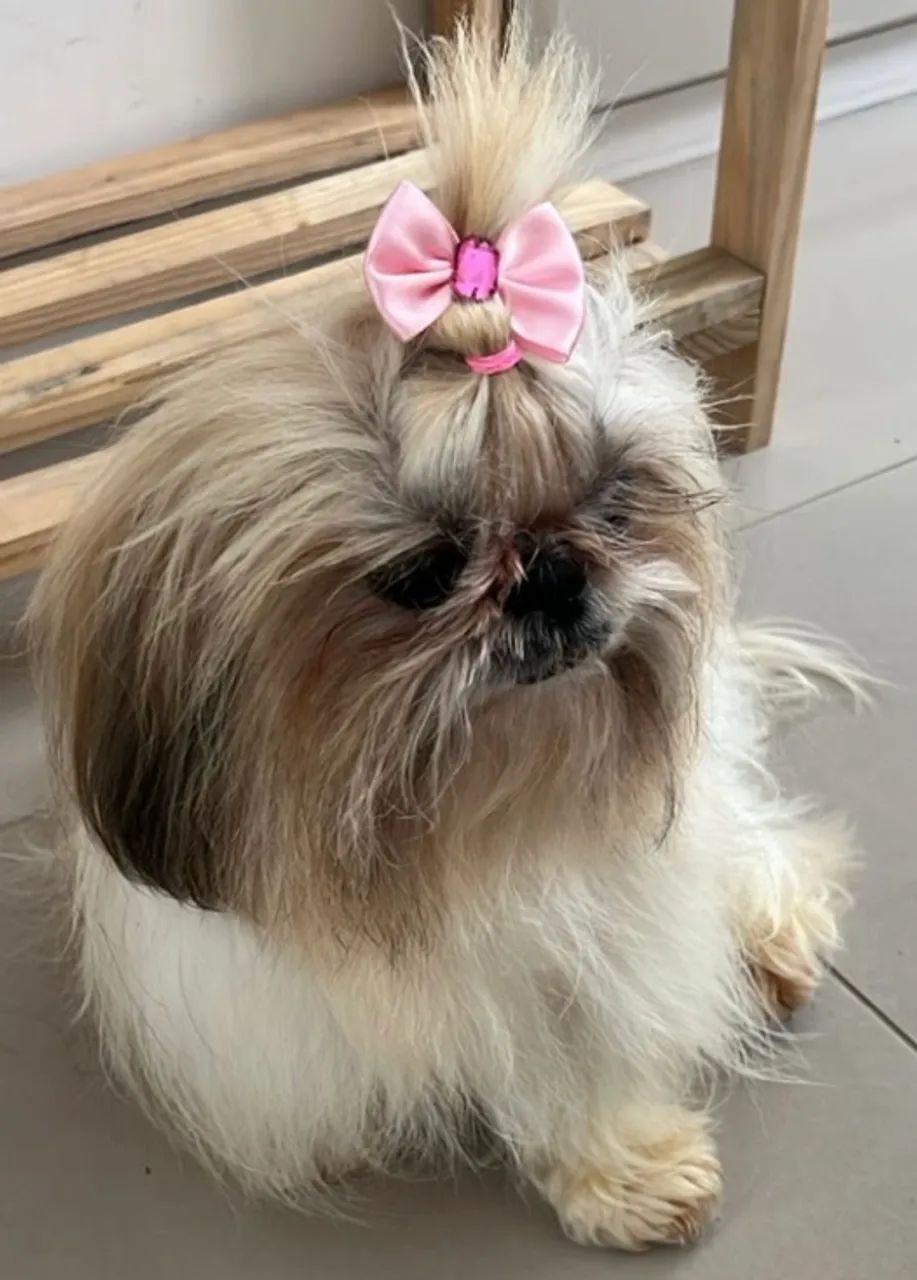 Carinhosa 