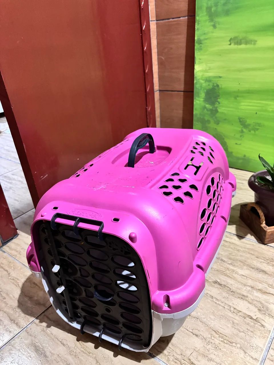 Caixa transportadora de pet - Foto 2