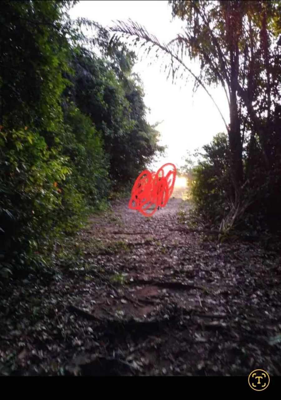 Vende-se chácara 3ha - Foto 2