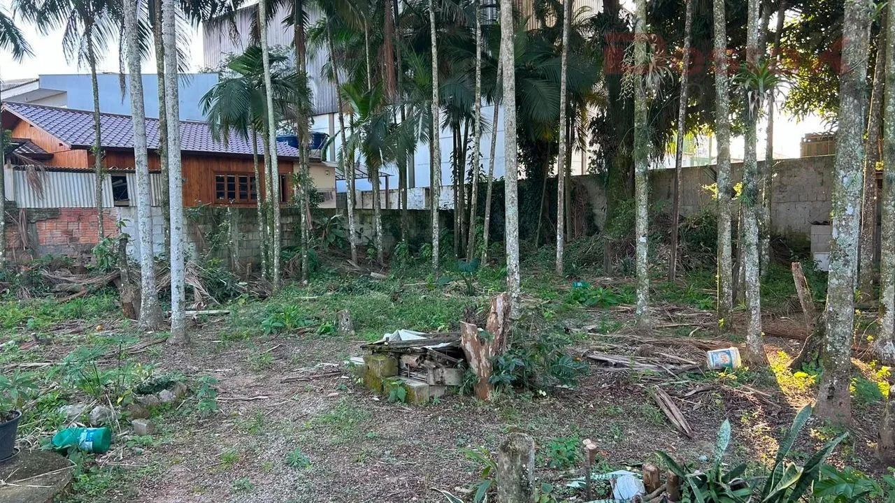 Terreno no bairro Vendaval - Biguaçu - Foto 4