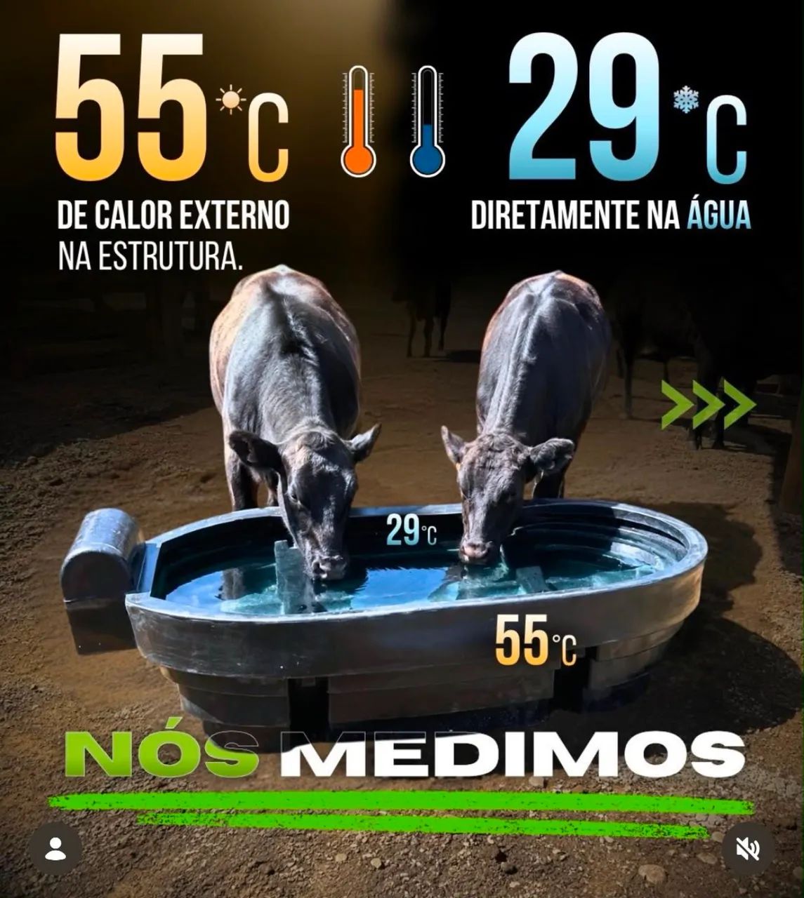 Bebedouro Cocho Confinamento 