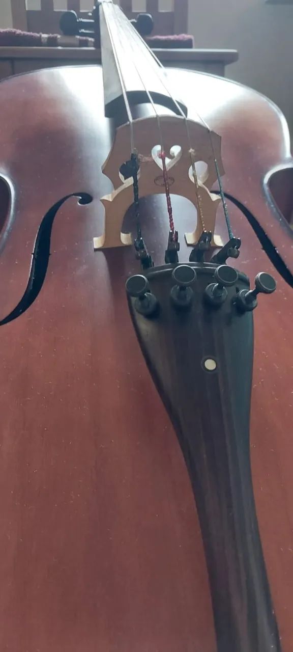 Violoncelo Eagle 4/4 CE 300 - Foto 5