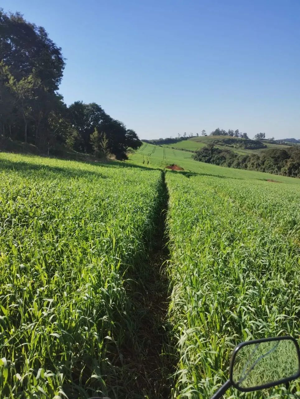 Fazenda  a venda  - Foto 2