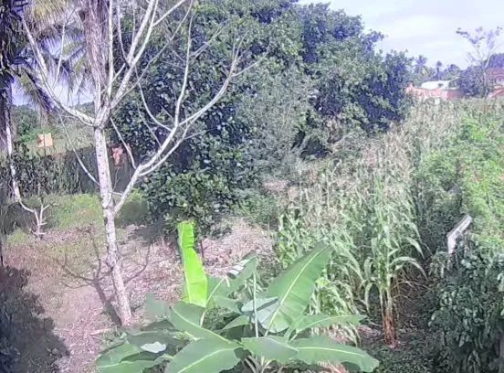 VENDO LOTE - POVOADO ESTREITO | CAPELA/SE <br> - Foto 5