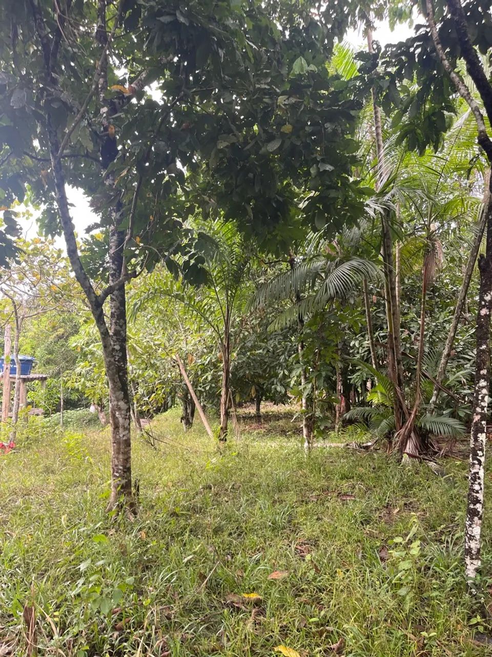 Terreno Rio preto da Eva  - Foto 3